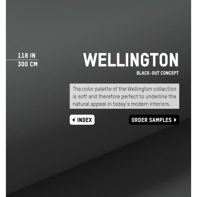 Black-Out Wellington