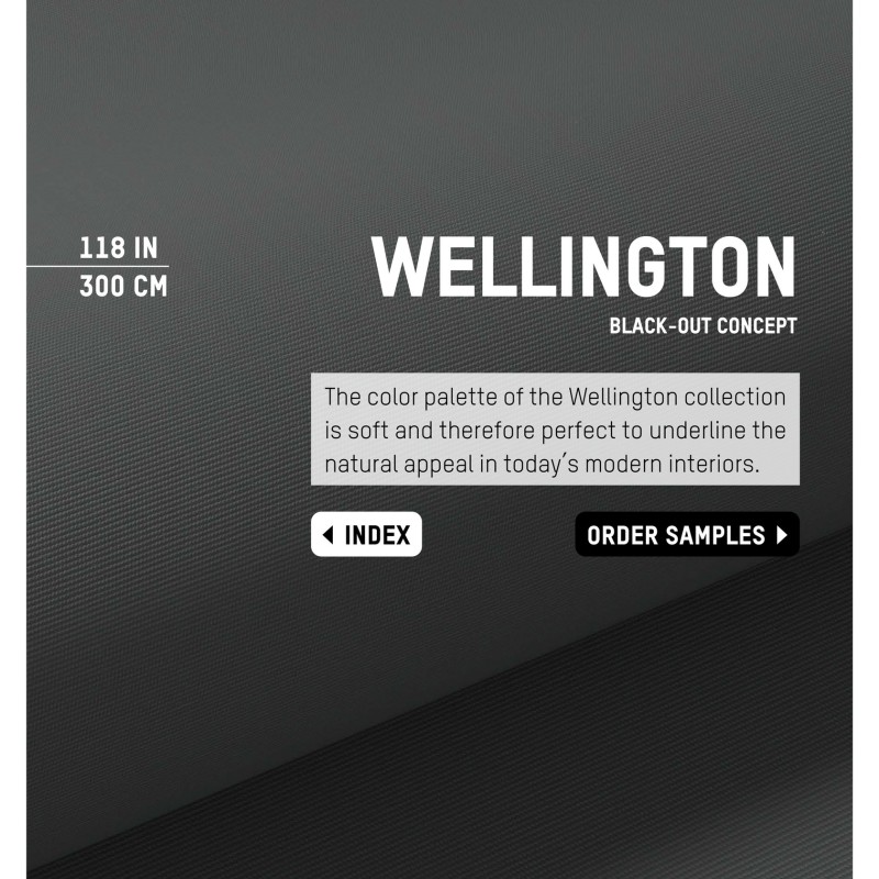 Black-Out Wellington
